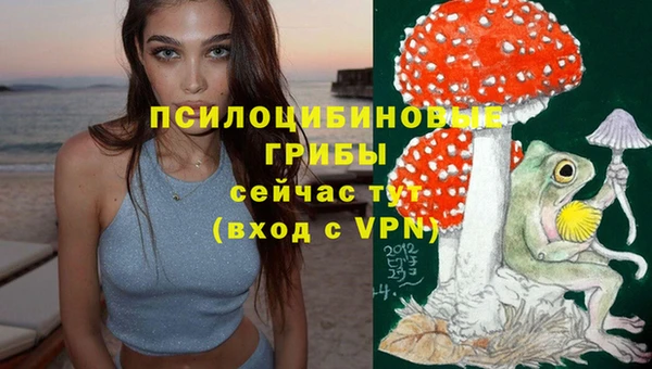 спиды Арсеньев