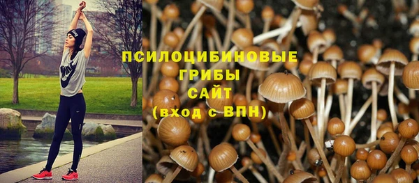 спиды Арсеньев