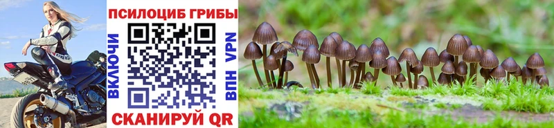 МЕГА как войти Тотьма Галлюциногенные грибы Cubensis